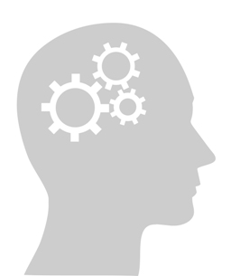 brain